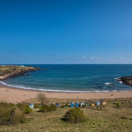 1 The Bay - Stunning Contemporary Flat On The Scottish Coast Appartement Coldingham Buitenkant foto