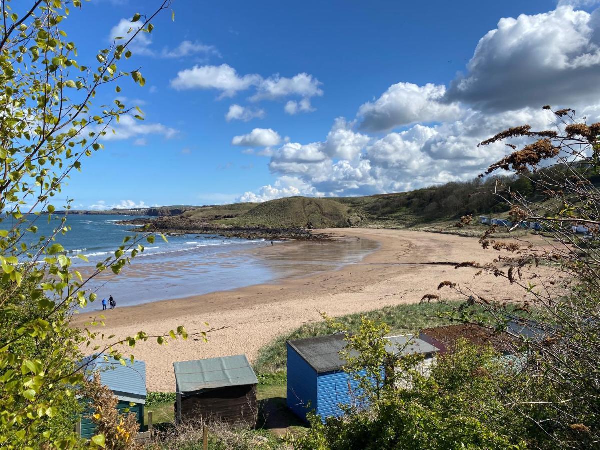 1 The Bay - Stunning Contemporary Flat On The Scottish Coast Appartement Coldingham Buitenkant foto